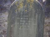 image of grave number 786920
